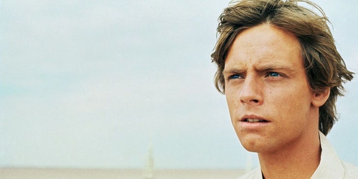 O que Mark Hamill como Luke Skywalker estava realmente comendo em seu  acampamento em Dagobah em O Império Contra-Ataca? - Quora