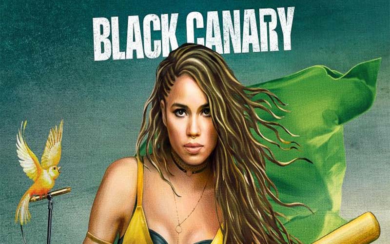 Aves de Rapina: Conheça Dinah Laurel Lance, a Canário Negro