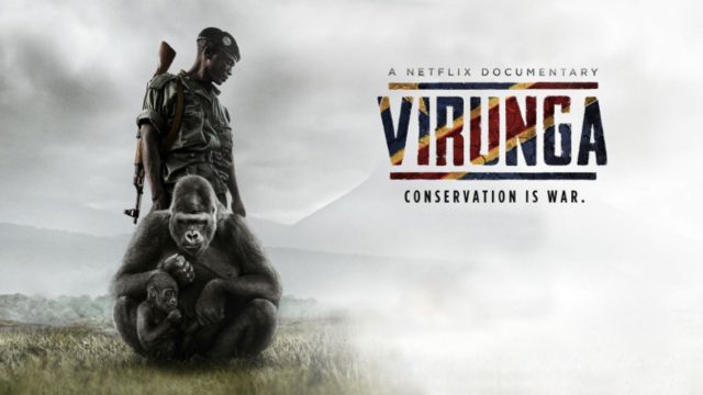 Virunga: Leonardo DiCaprio e Barry Jenkins irão adaptar documentário