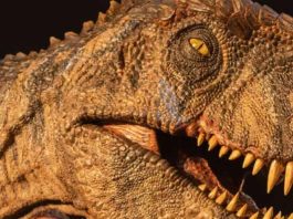 Jurassic World Domínio: Curiosidades sobre os efeitos visuais do filme